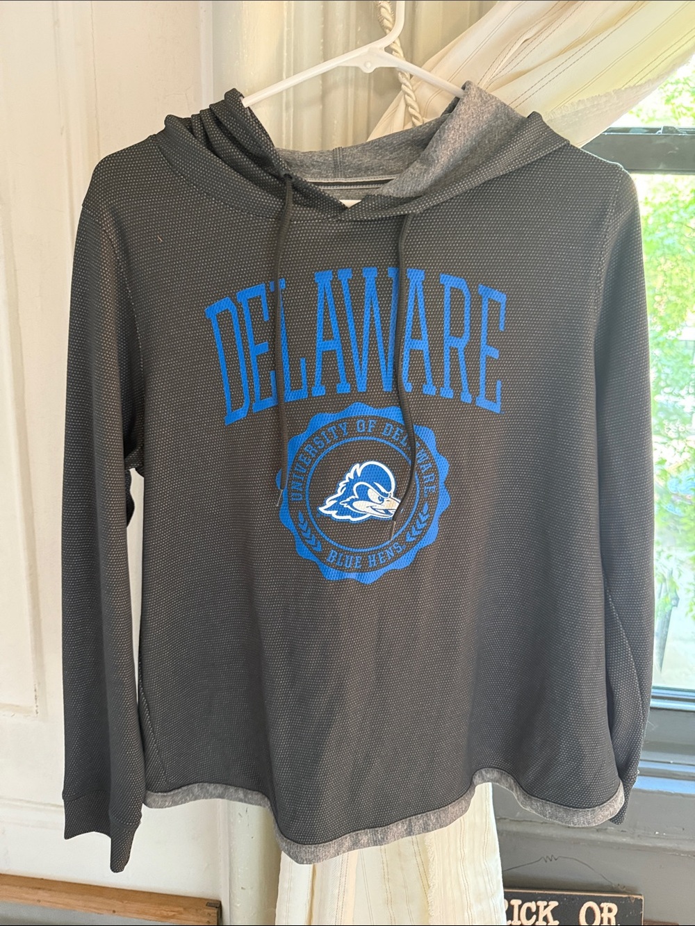 Champion Gray Pullover with Blue and Red Logo